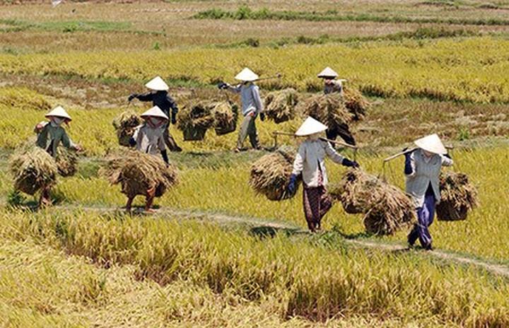 Tận dụng
