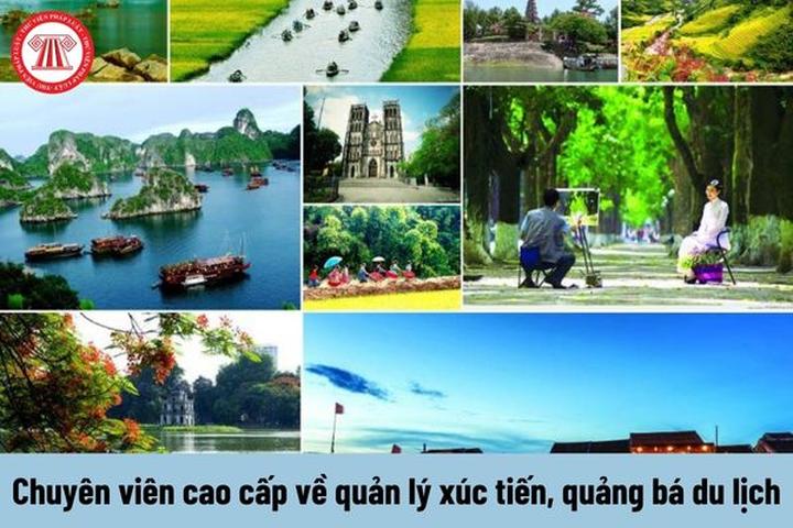 Chuyên gia Hotspot Matrix phân tích: 10 nữ thần quốc dân đẹp nhất và marketing video
