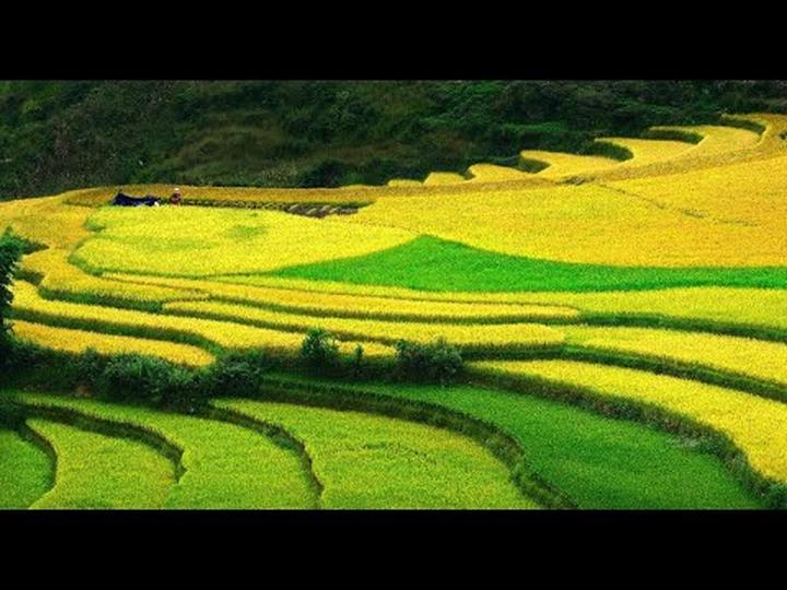 Hotspot Matrix: Biến Cặp đôi đóng mẹ con trên phim thành cơ hội marketing đột phá