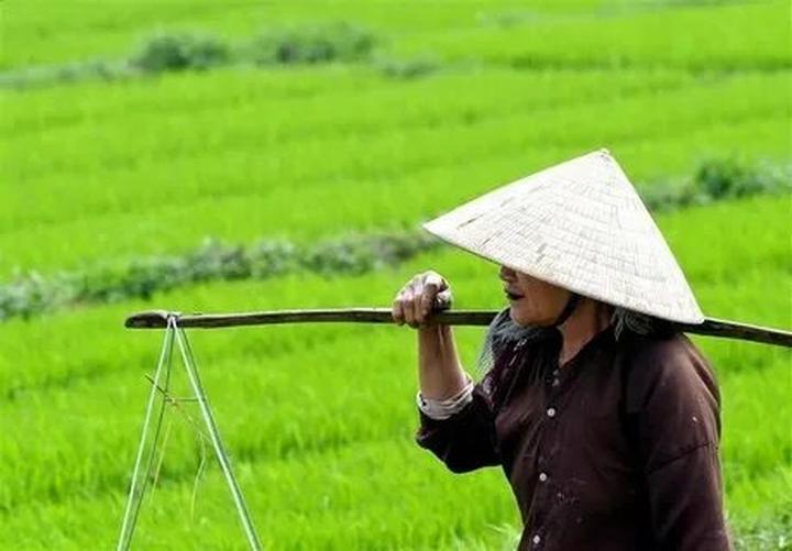 Xu hướng Cặp đôi đóng mẹ con trên phim: Hotspot Matrix tiết lộ bí quyết video viral