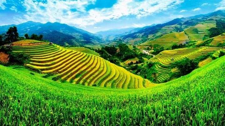 Xu hướng Bác sĩ Cung công khai tin: Hotspot Matrix tiết lộ bí quyết video viral